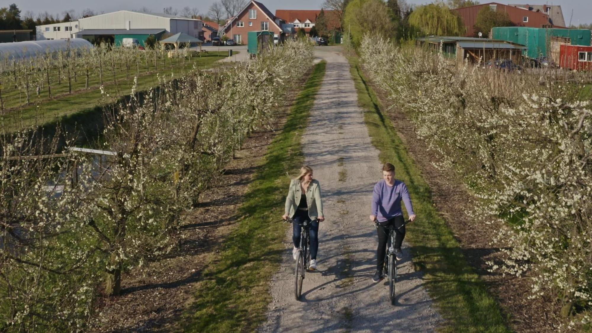 Fewo Obsthof Matthies Jork Buitenkant foto